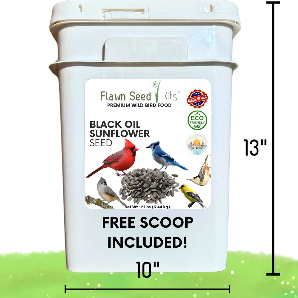 Premium Black Oil Sunflower Wild Bird Seed