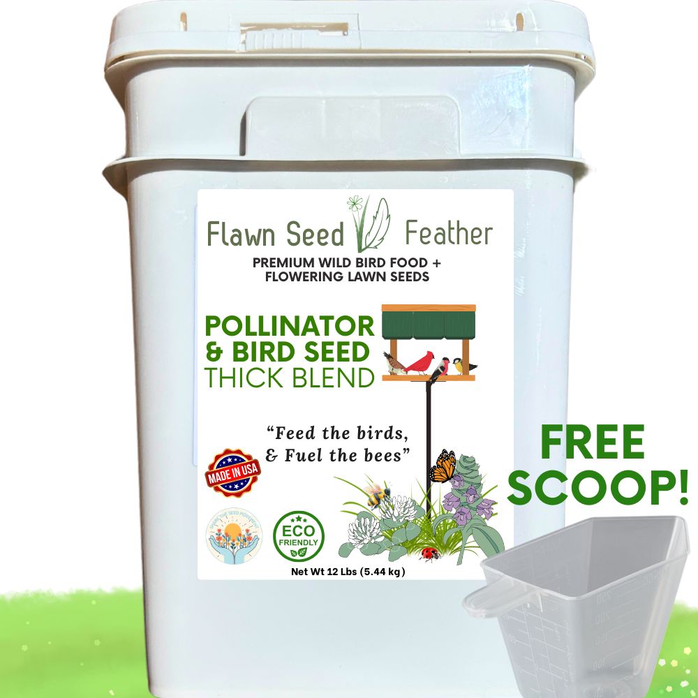Pollinator & Wild Bird Seed Thick Bee Lawn Blend