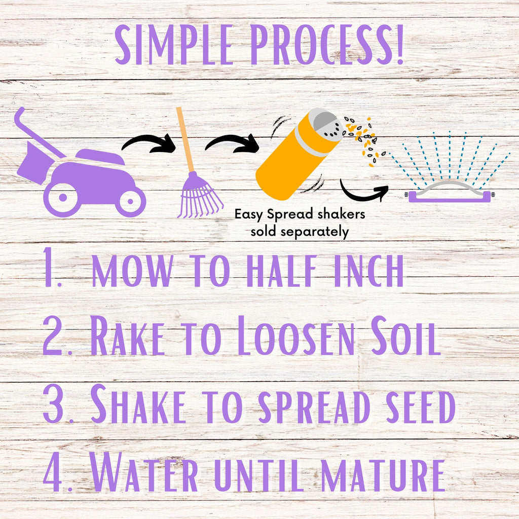 Self-Heal Seed Pouch