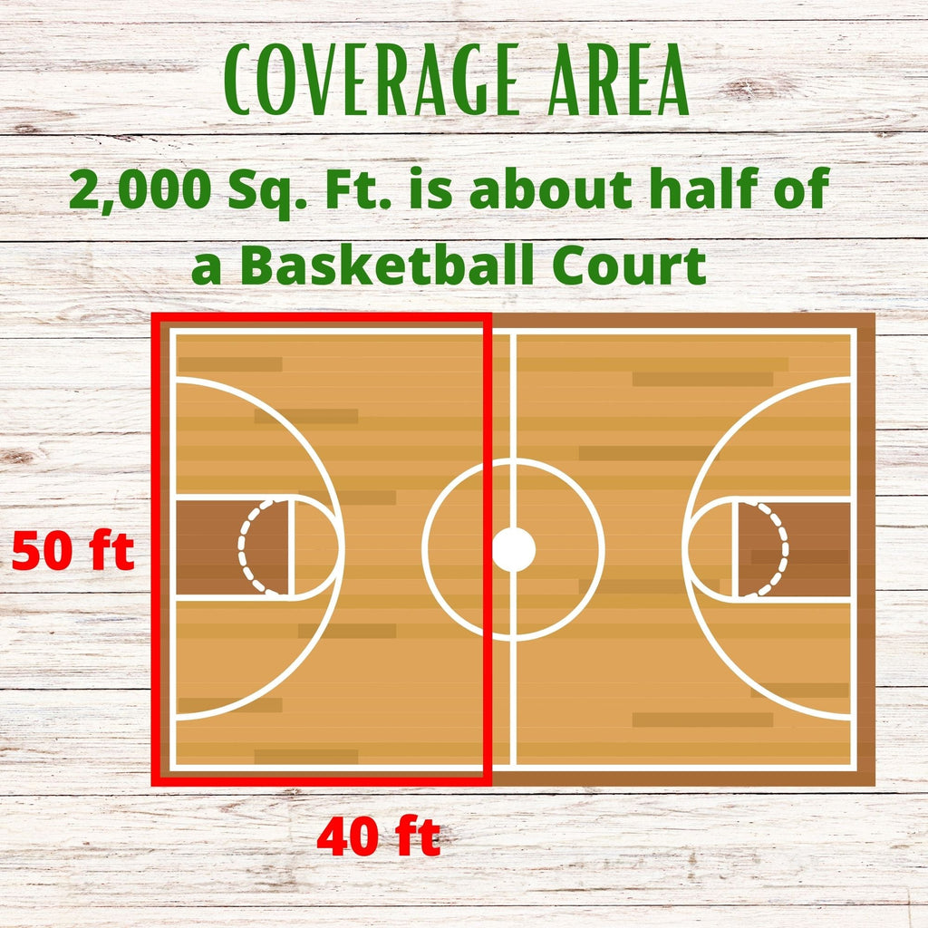 Simple Lawn Fine Fescue Grass Seed
