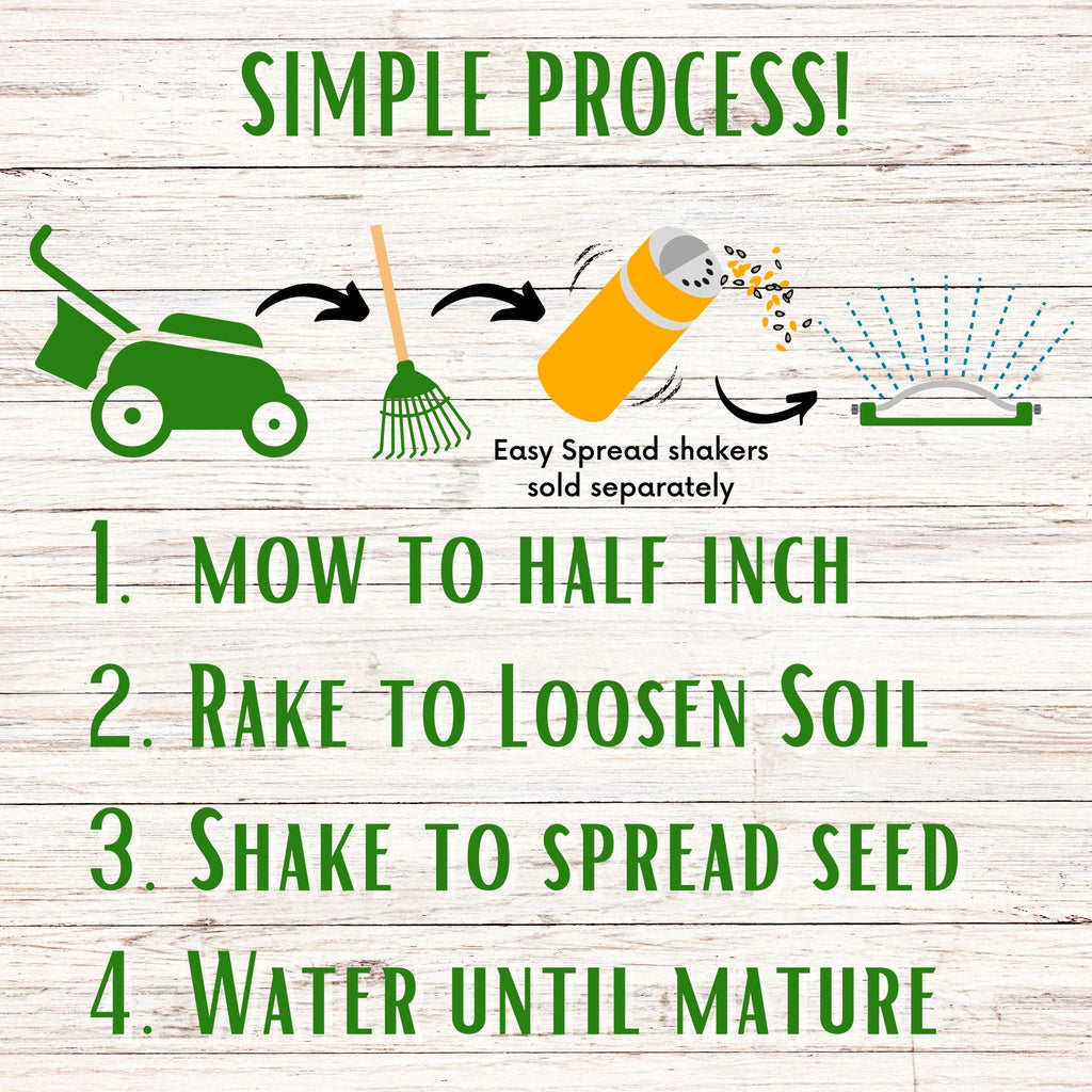 Dutch White Clover Seed