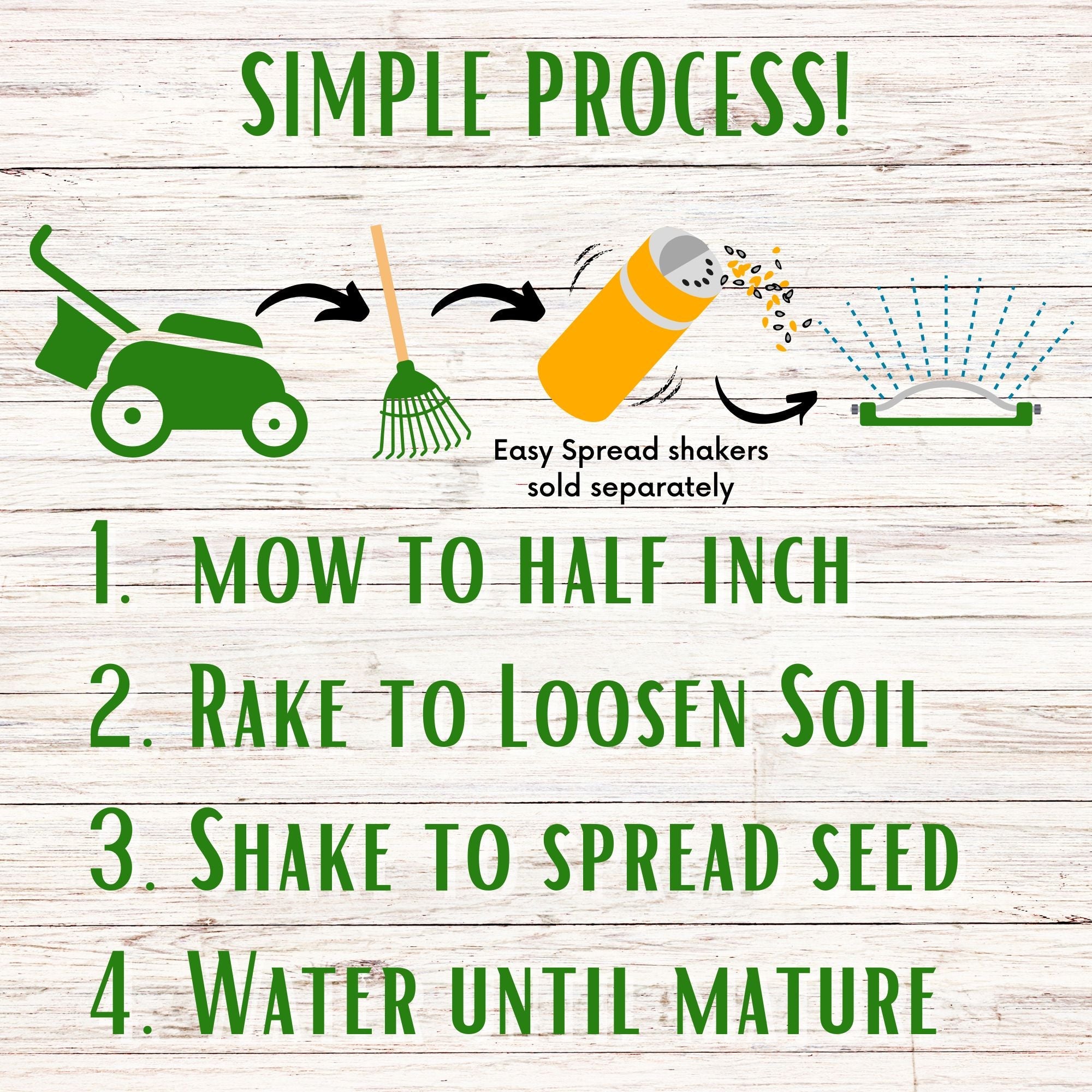 Dutch White Clover Seed