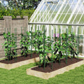 3 Pack 60 inch Adjustable Tall Plant Support Trellis for Climbing Plants