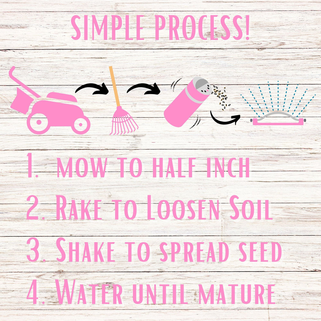 Creeping Thyme Easy Spread Shaker