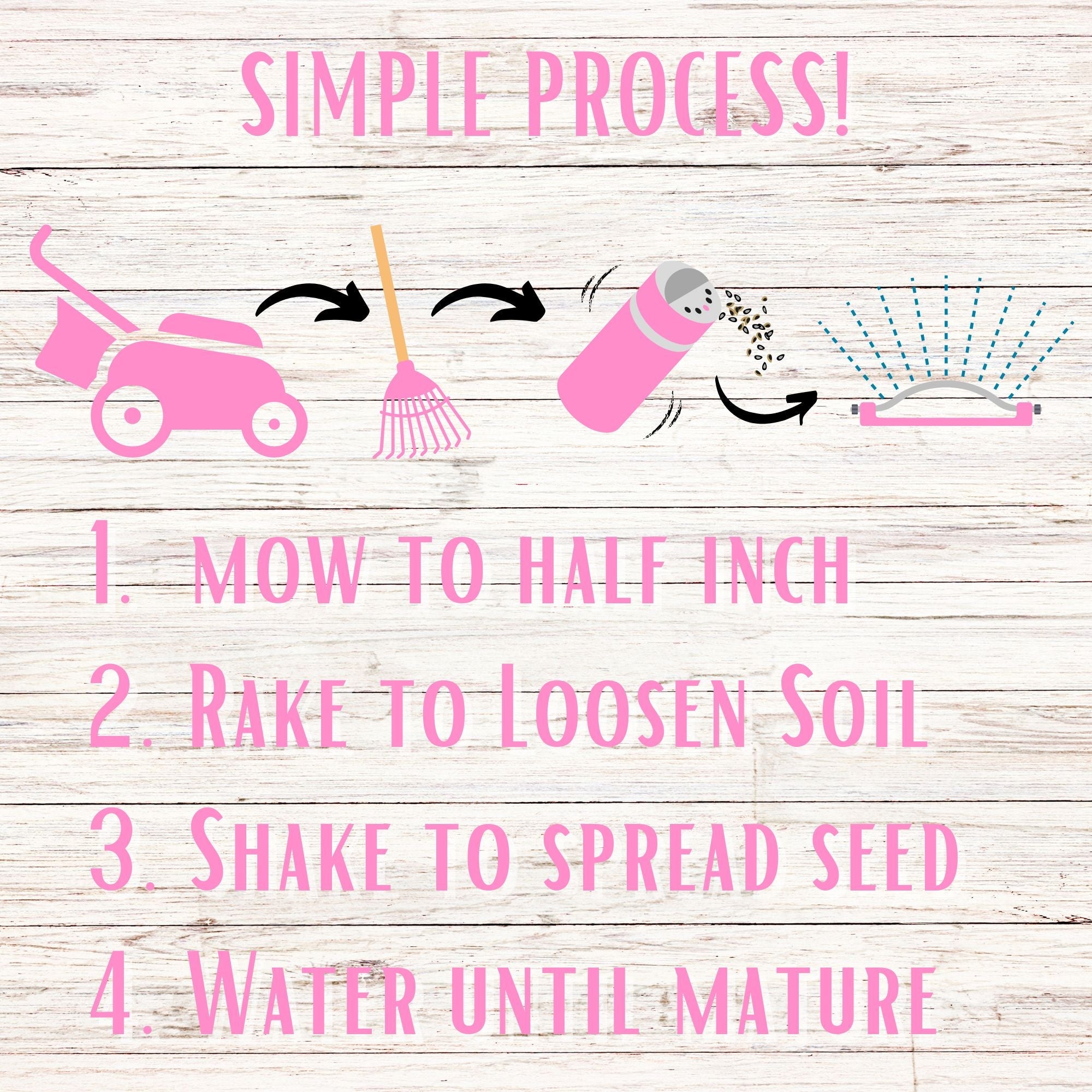 Creeping Thyme Easy Spread Shaker