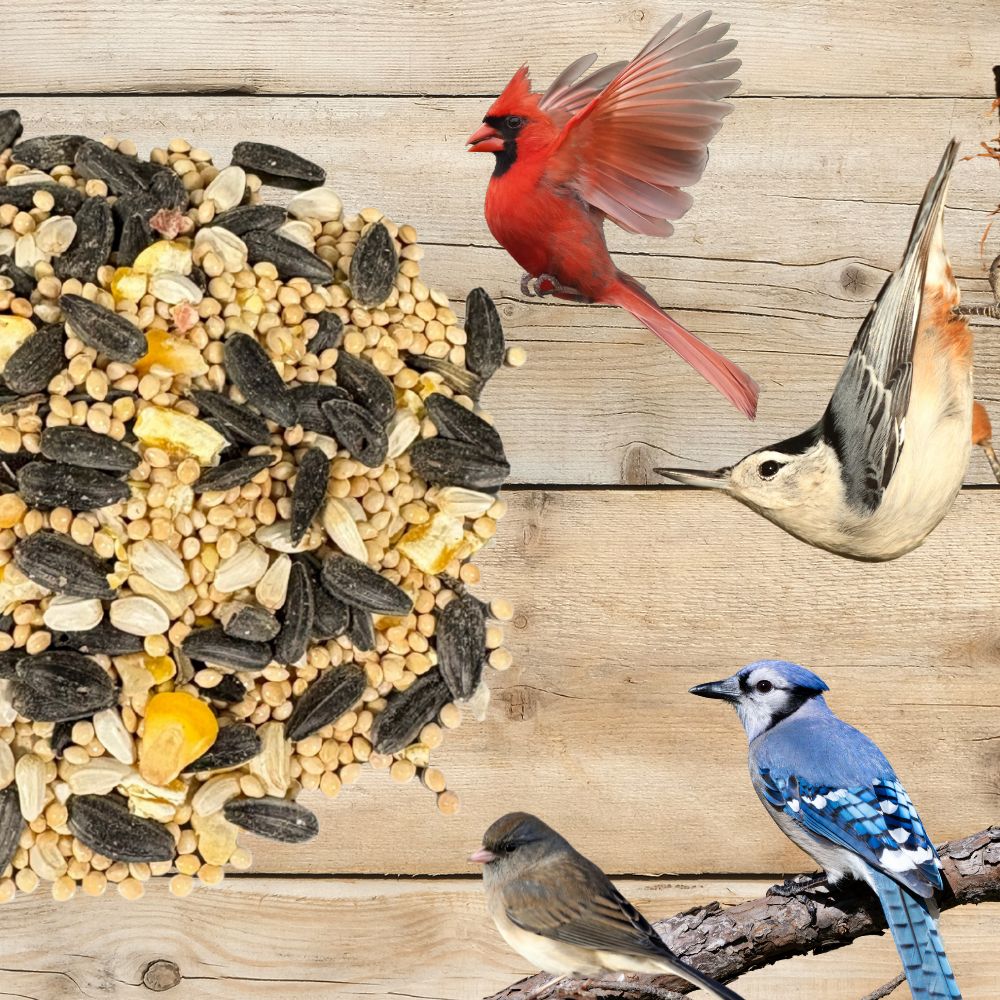 Pollinator & Wild Bird Seed Meadow Mix