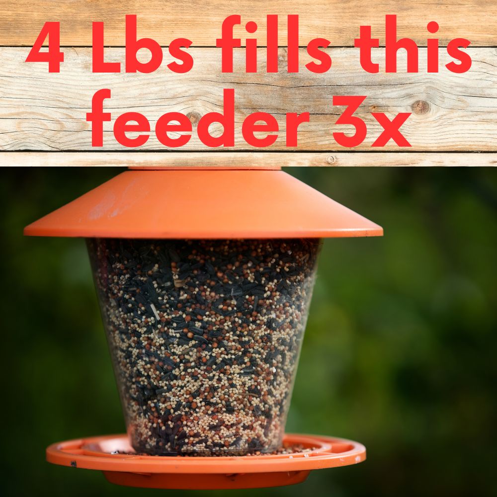 Cardinal & Finch Feast Wild Bird Seed Blend