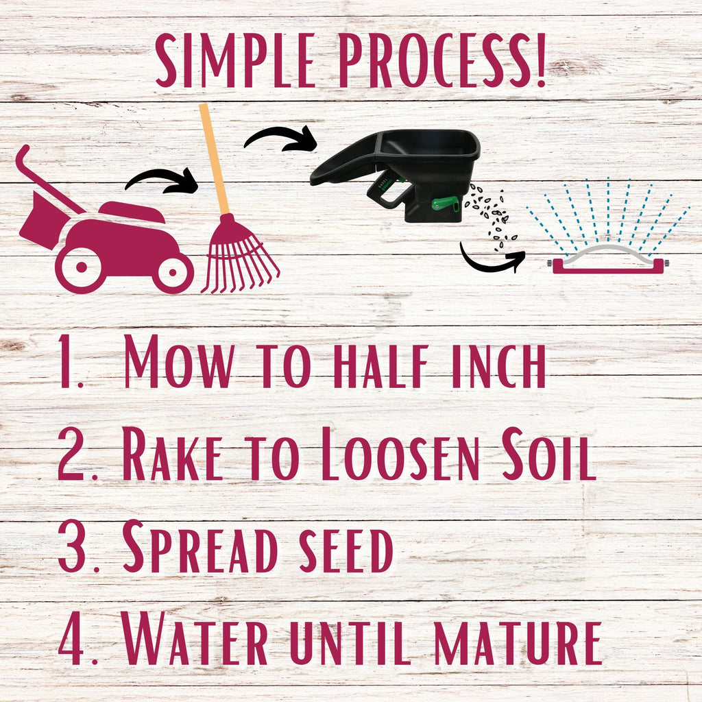 Crimson Clover + Mow Less Grass Seed