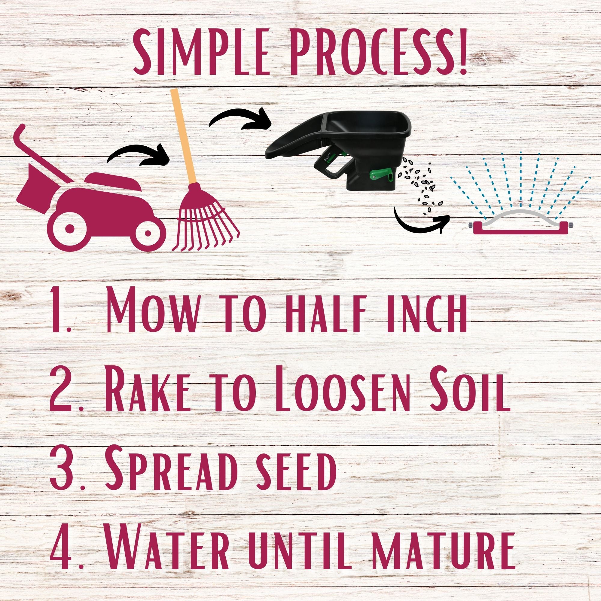 Crimson Clover + Mow Less Grass Seed