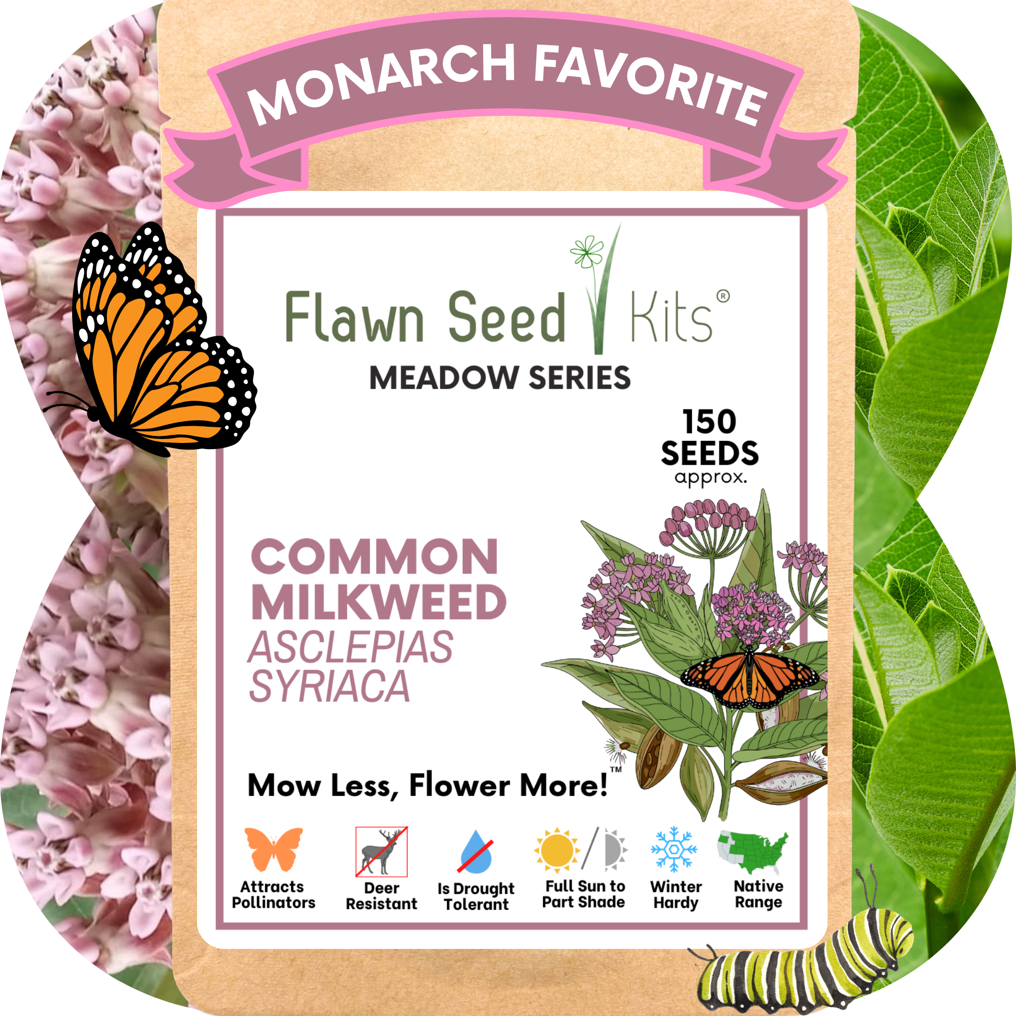 Common Milkweed Seed Pouch