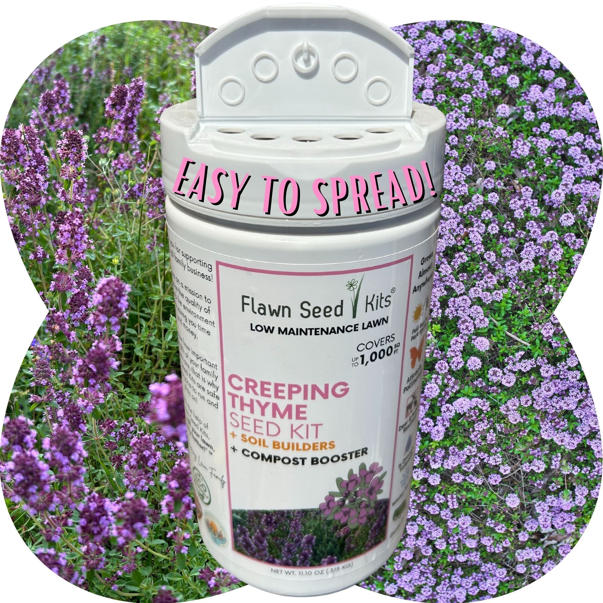 Creeping Thyme Easy Spread Shaker