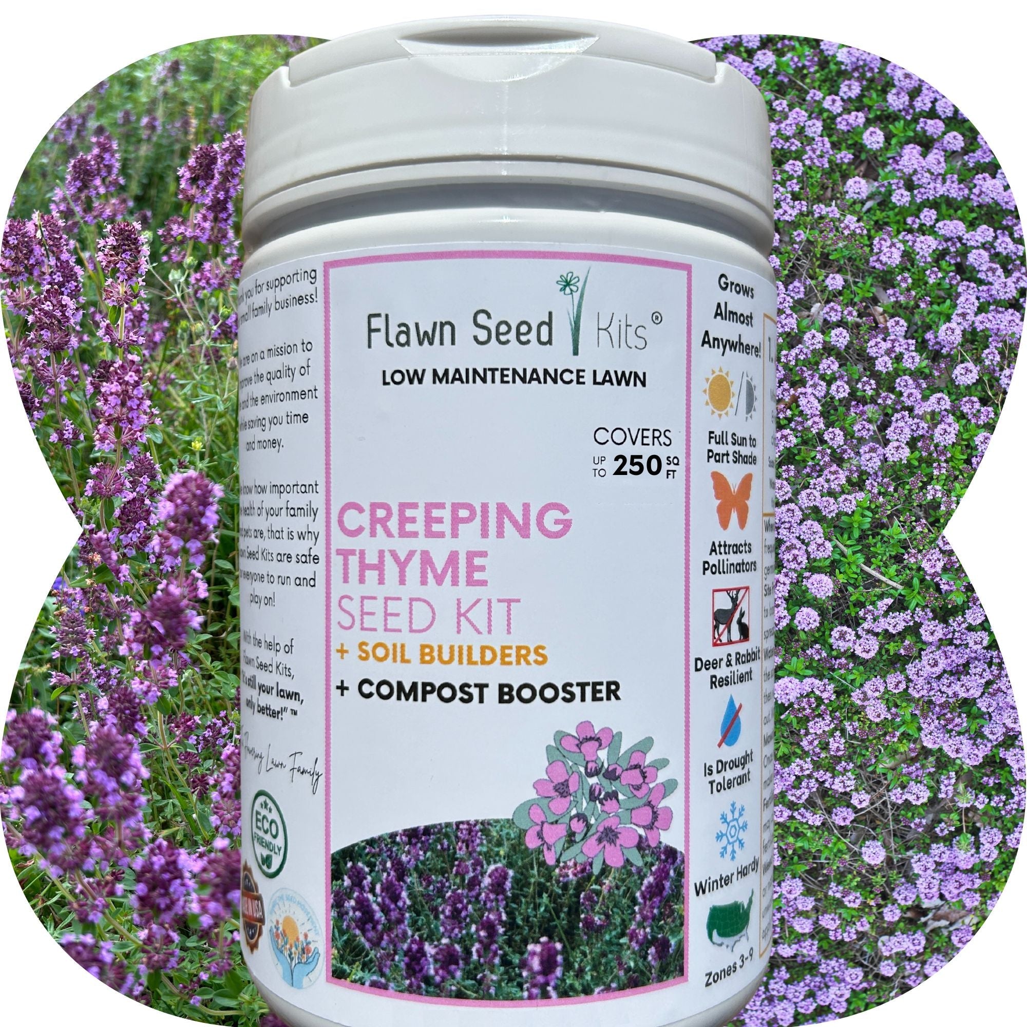 Creeping Thyme Easy Spread Shaker