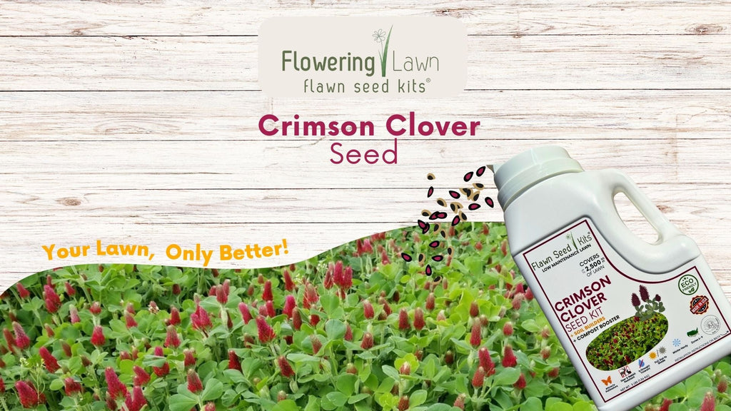 Crimson Clover Easy Spread Shaker