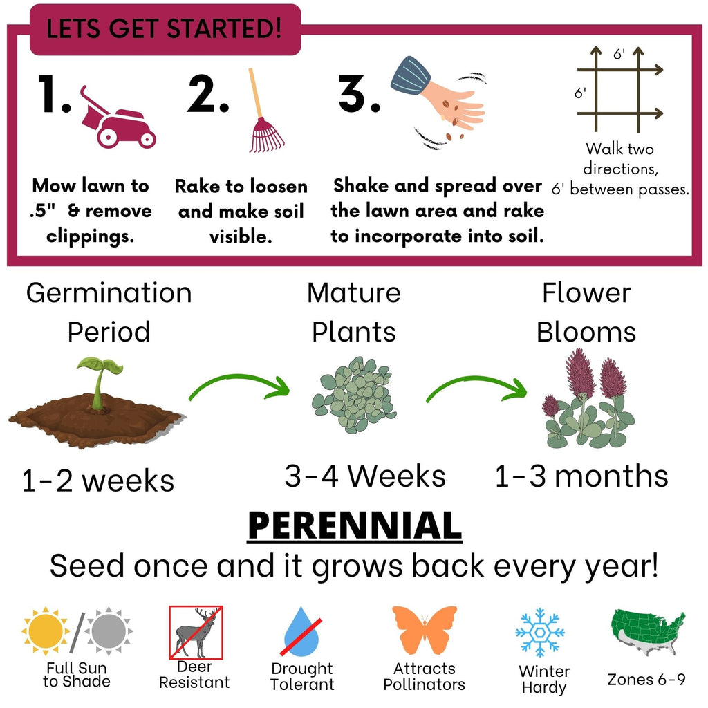 Crimson Clover + Mow Less Grass Seed