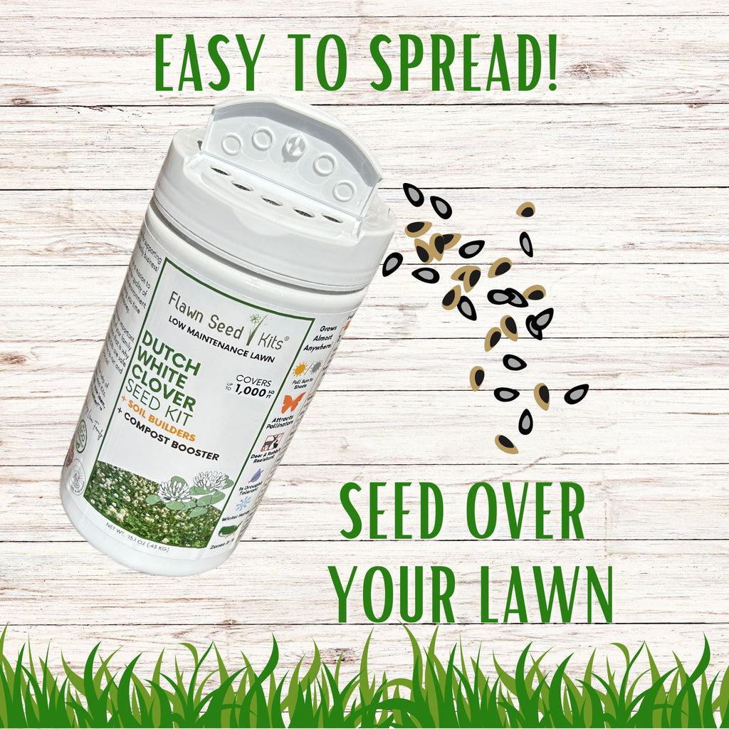 Dutch White Clover Easy Spread Shaker