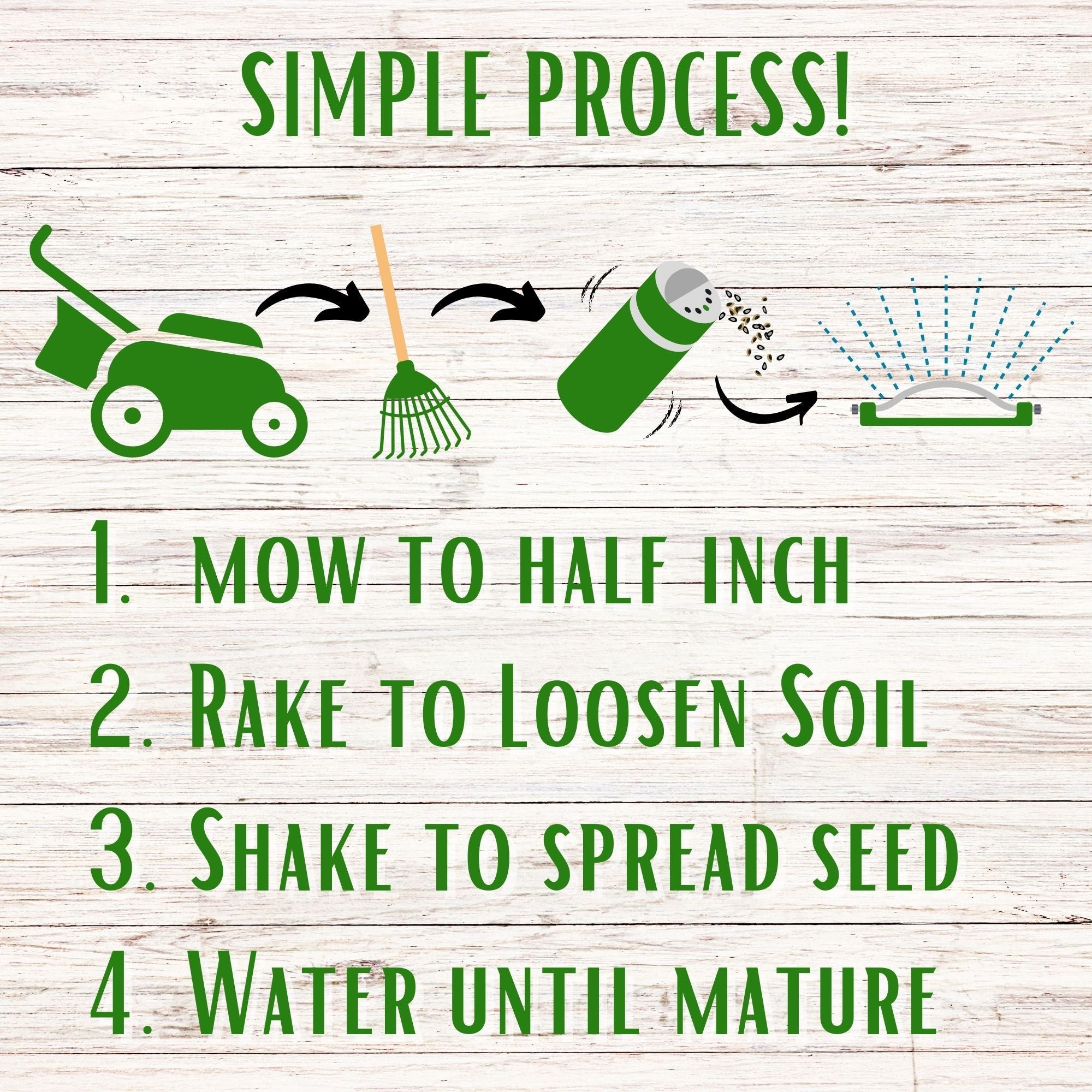 Bee Lawn Seed Kit - Easy Spread Shaker