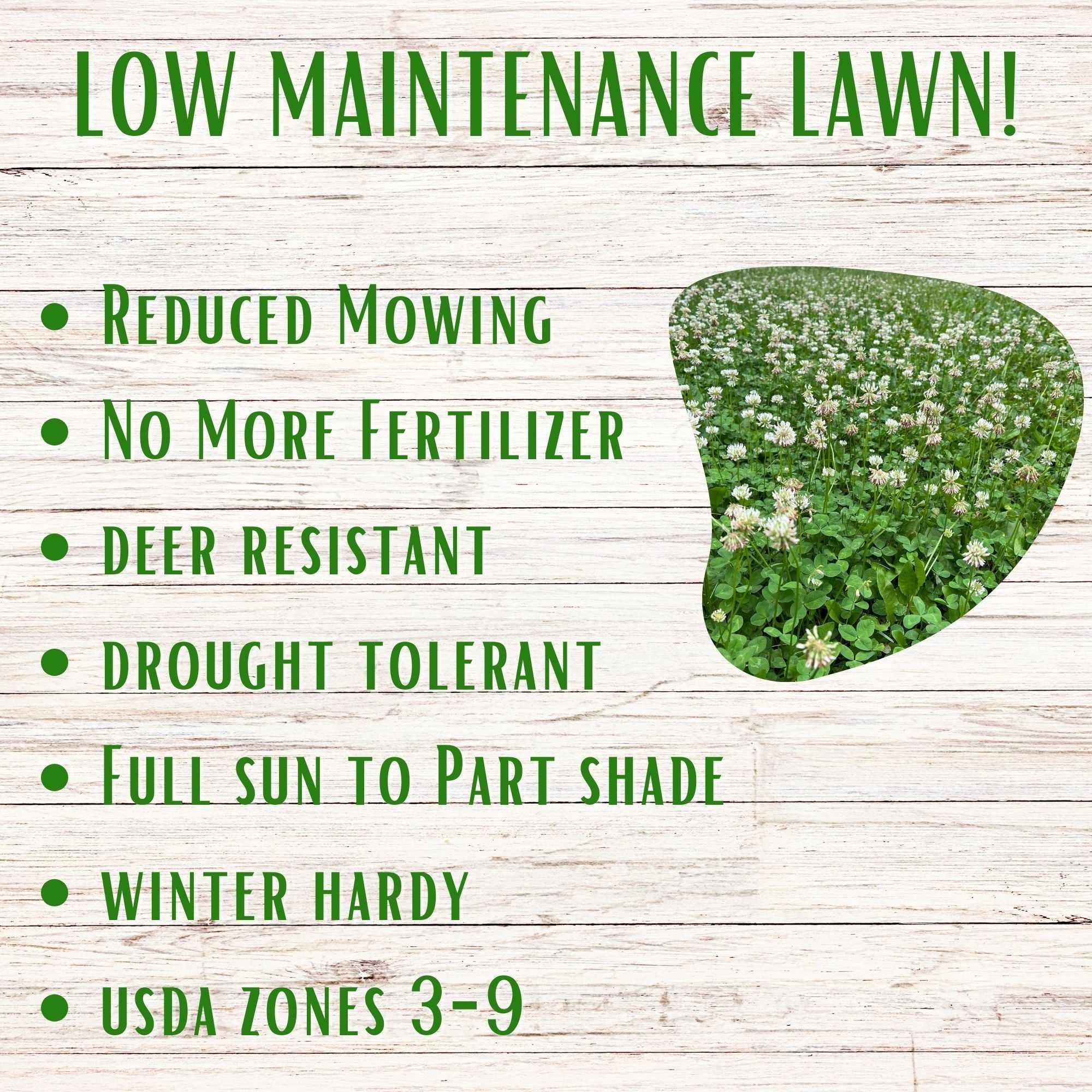 Dutch White Clover + Mow Less Grass Seed