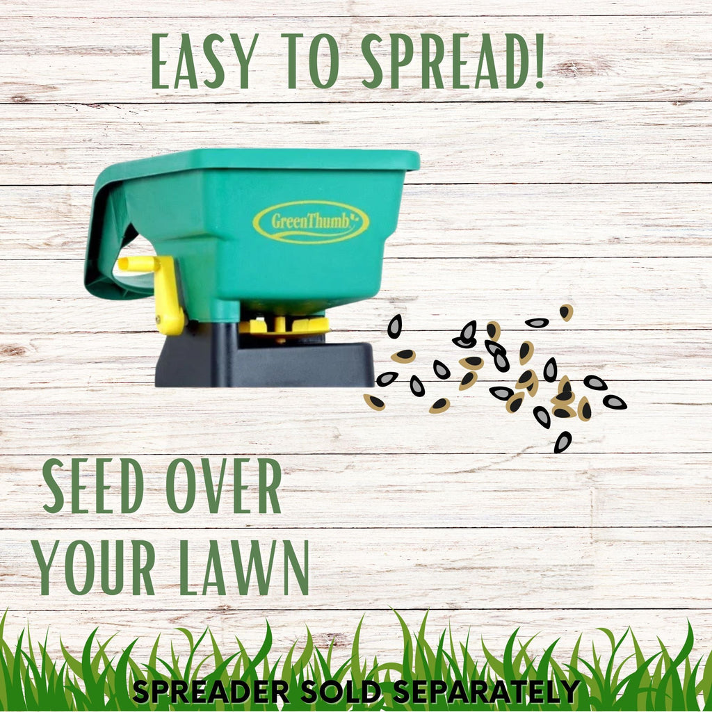 Dutch White Clover + Mow Less Grass Seed