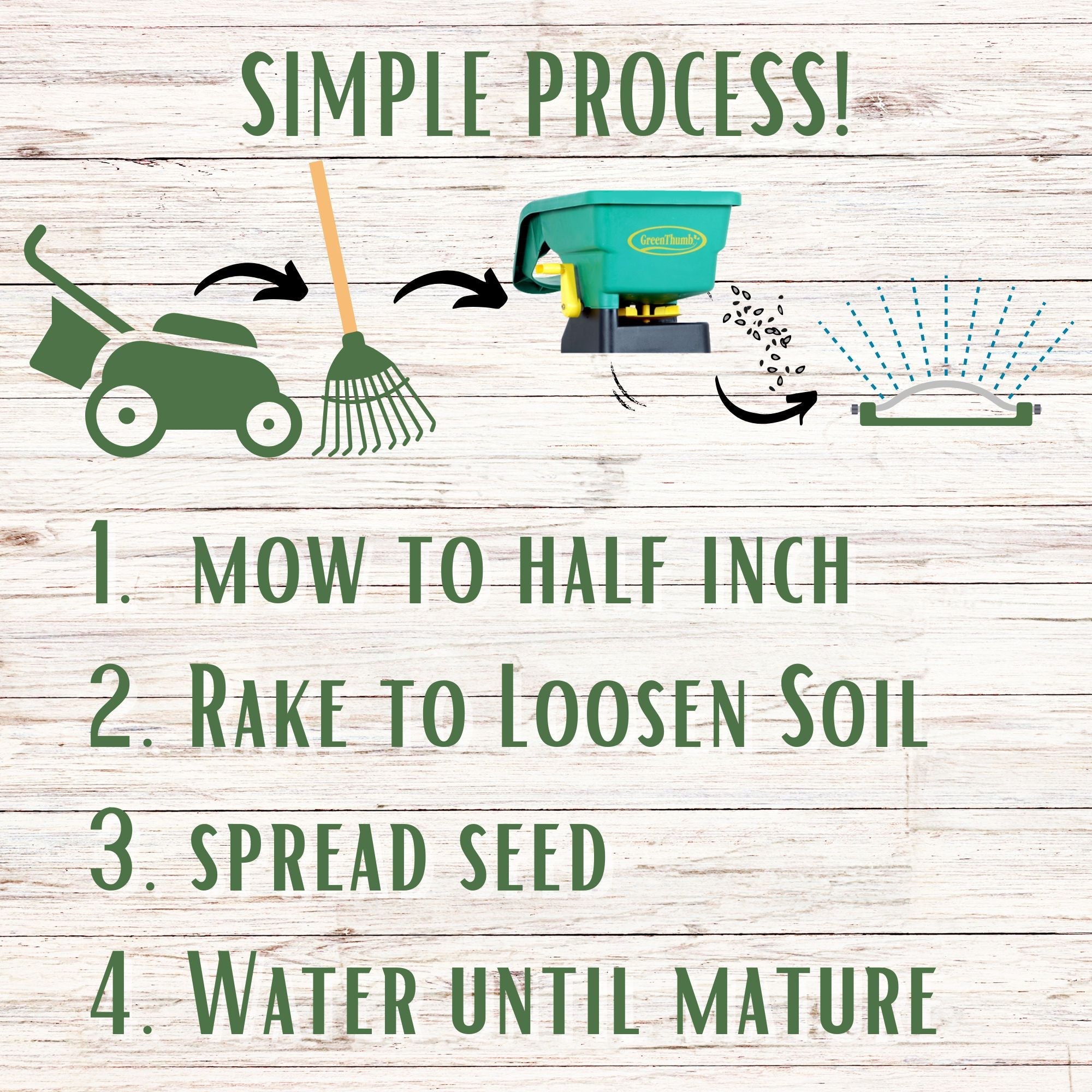 Simple Lawn Fine Fescue Grass Seed