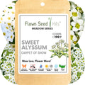 Sweet Alyssum Carpet Of Snow Seed Pouch