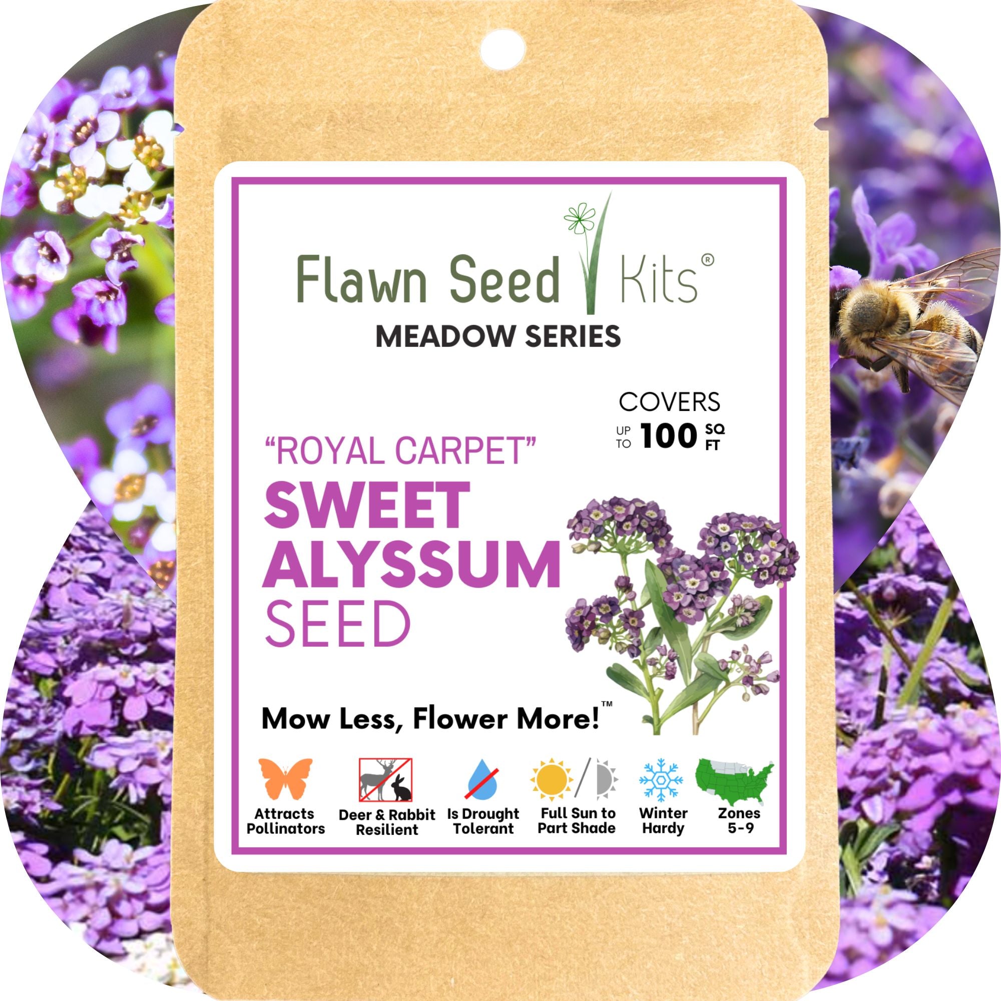 Sweet Alyssum Royal Carpet Seed Pouch
