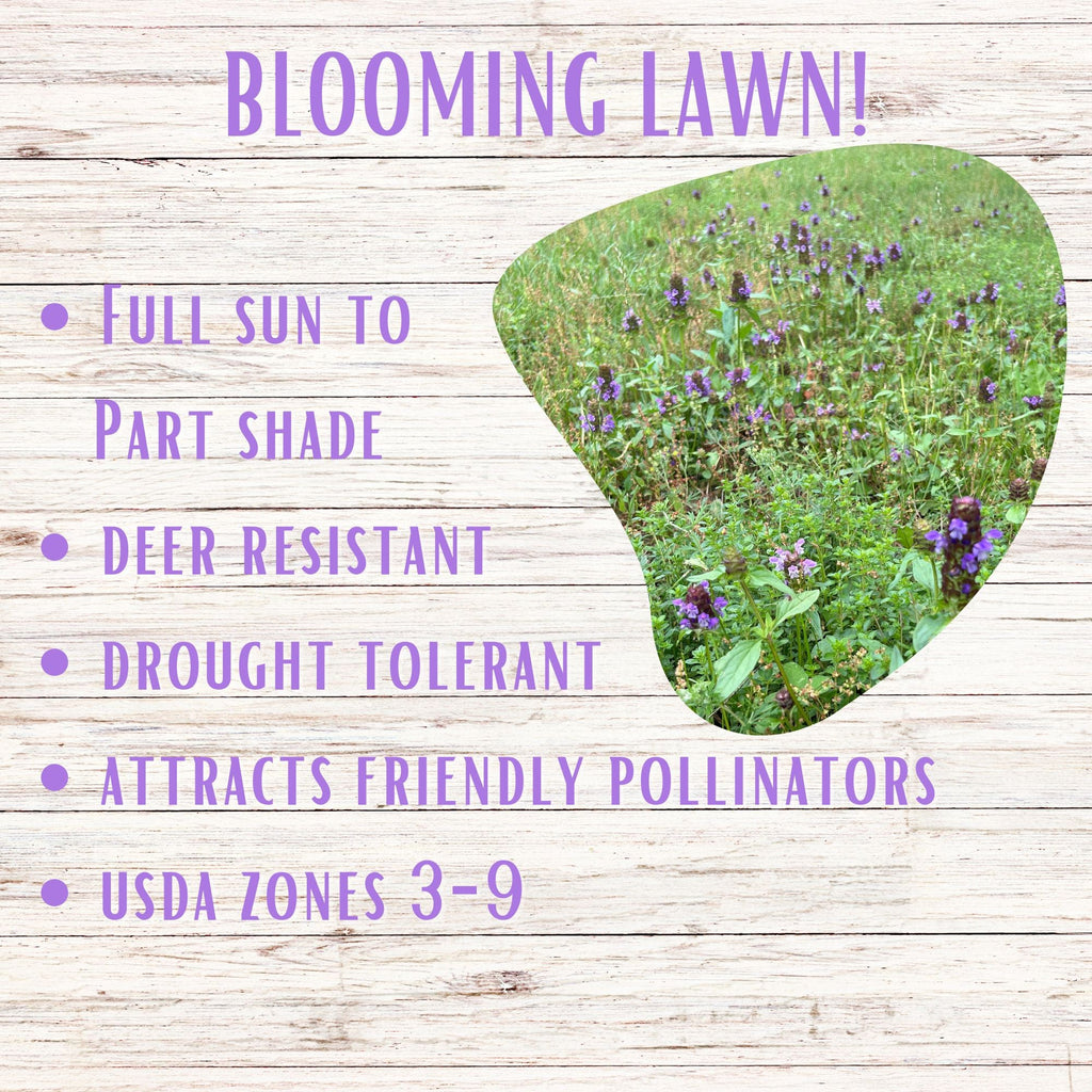 Self-Heal Seed Pouch