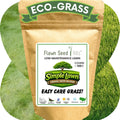 Simple Lawn Fine Fescue Grass Seed