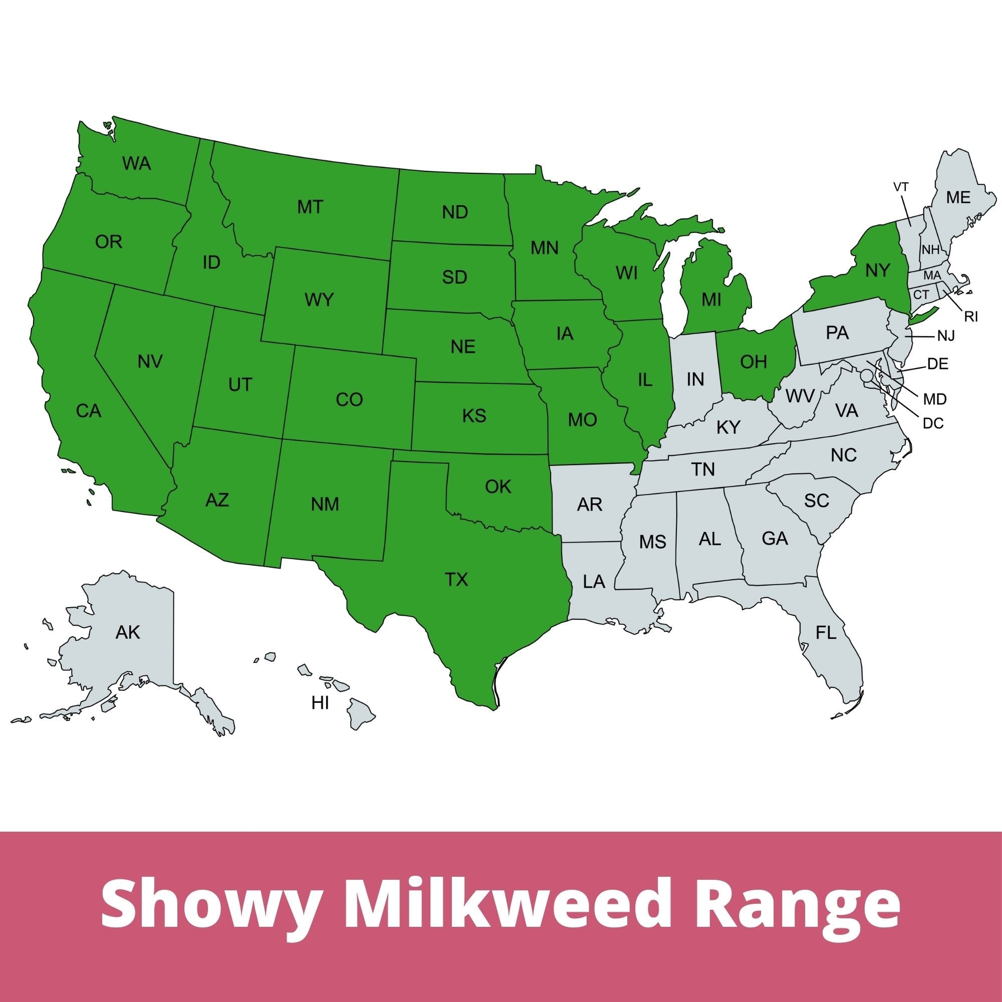 Showy Milkweed Seed Pouch