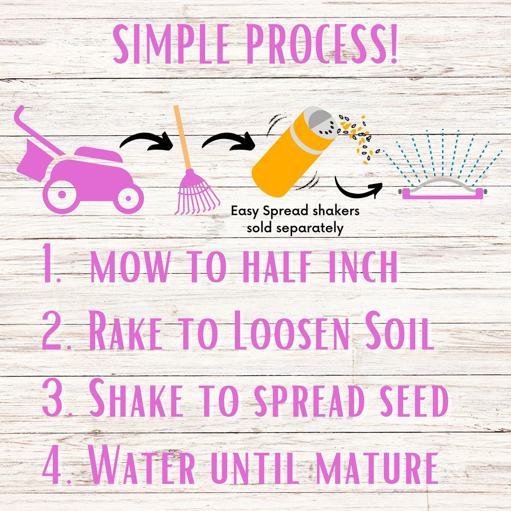 Medium Red Clover Seed