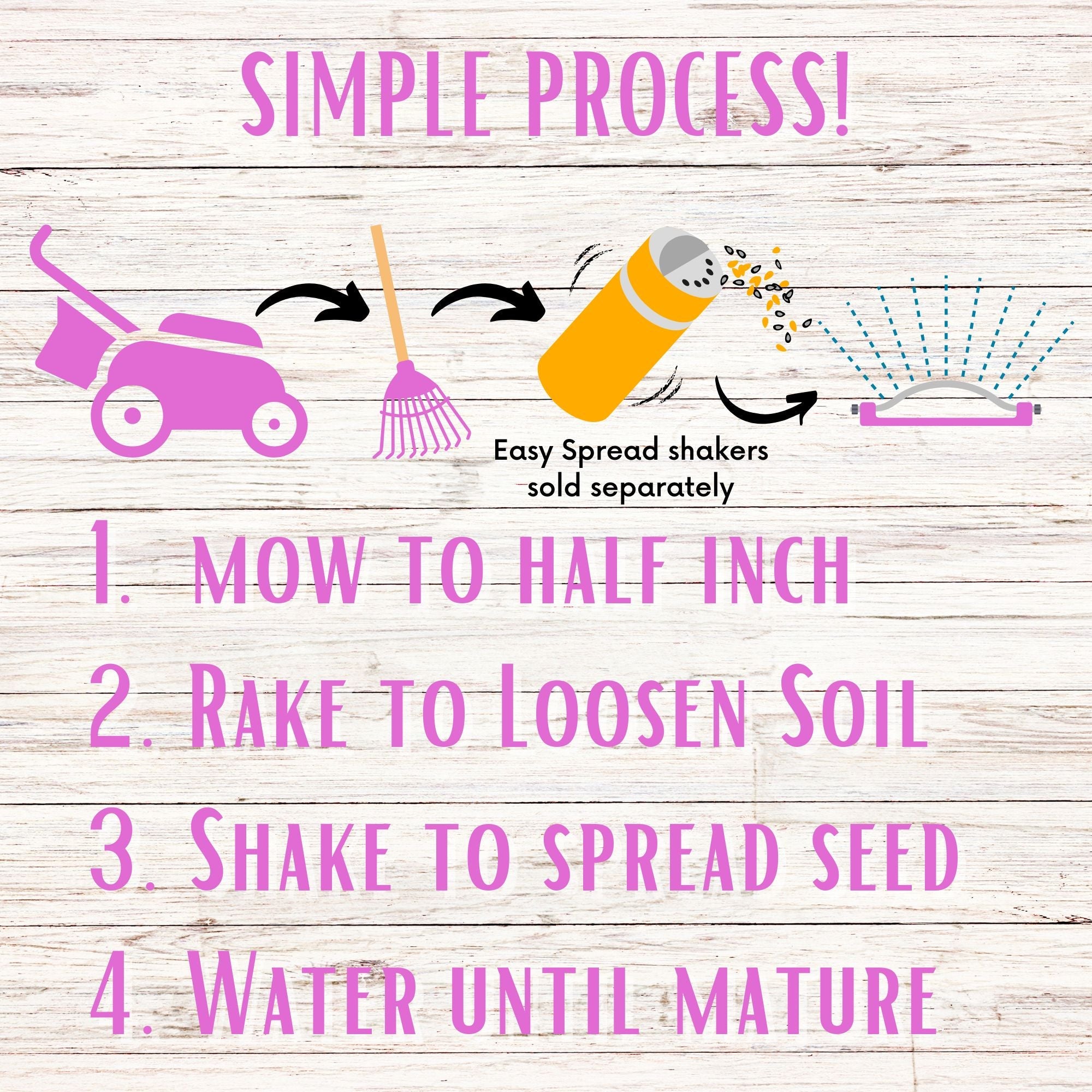 Medium Red Clover Seed