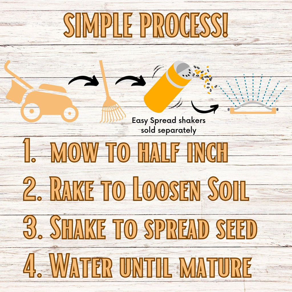 White Yarrow Seed Pouch