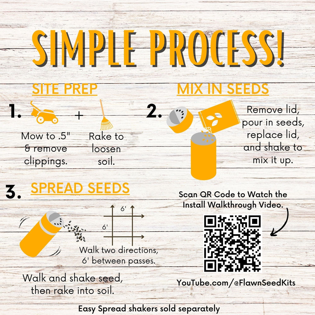 Dutch White Clover Seed