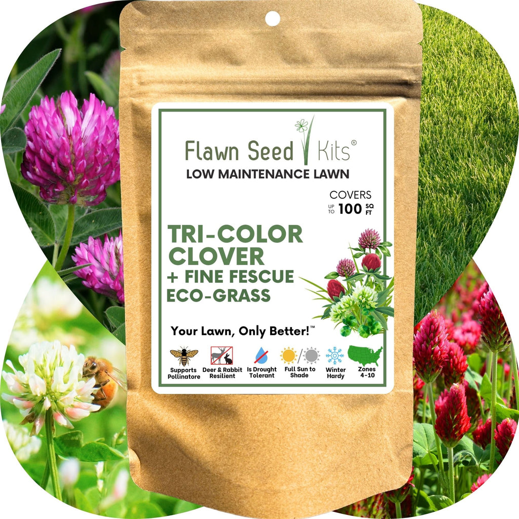 TRI-Color Clover + Mow Less Grass Seed