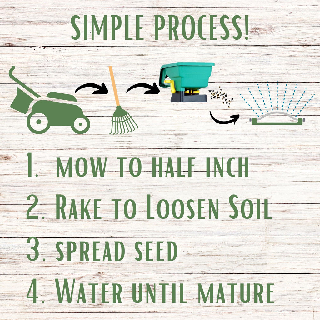 Dutch White Clover + Mow Less Grass Seed